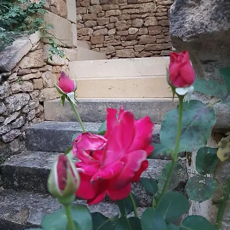 La Carmalaine *